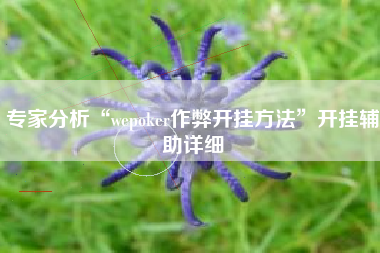 专家分析“wepoker作弊开挂方法	”开挂辅助详细
