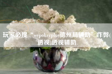 玩家必搜“wepokerplus德州局辅助”作弊(透视)透视辅助