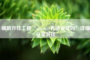 辅助开挂工具“wepoker有透视挂吗”详细分享装挂