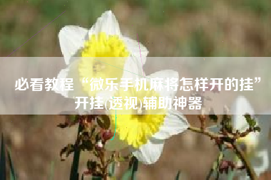 必看教程“微乐手机麻将怎样开的挂”开挂(透视)辅助神器