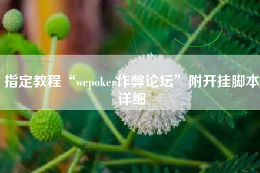 指定教程“wepoker作弊论坛	”附开挂脚本详细
