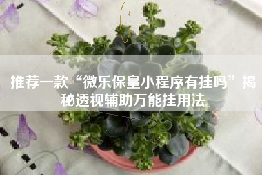 推荐一款“微乐保皇小程序有挂吗	”揭秘透视辅助万能挂用法